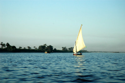 尼羅河上有很多富有古埃及特色的帆船 felucca