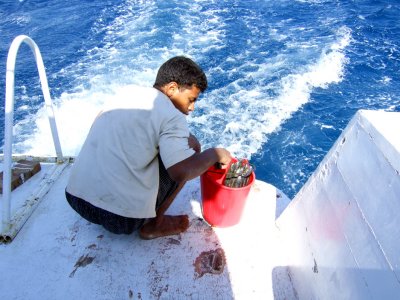 preparing lunch in Red Sea