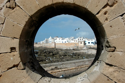 the battlements of Essaouira