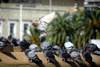 taking off