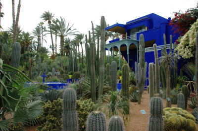 deep blue villa at the back - the Majorelle & Museum of Islamic Art