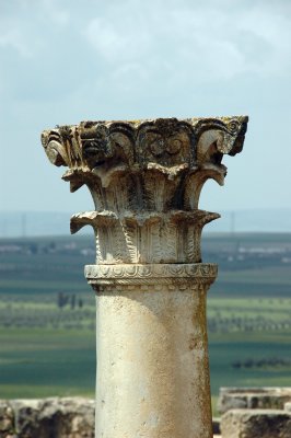 columns with twisted fluting and composit capitals