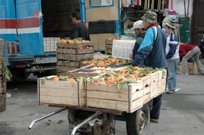 oranges are in abundance in Morocco