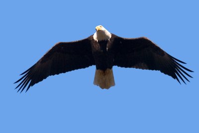 IMG_1434.jpg