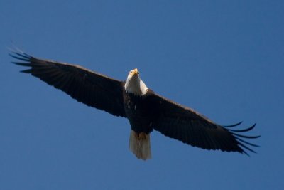 IMG_1435.jpg
