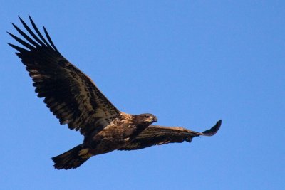 IMG_1742.jpg