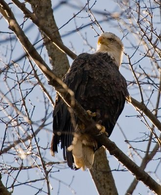 IMG_1341.jpg