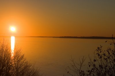 IMG_1779.jpg