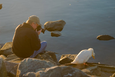A Man and his duck