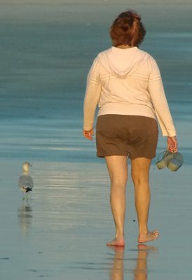 Joann and her pet seagull