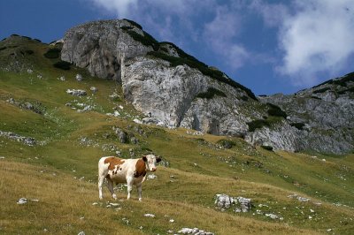 Upper Ališnica Valley