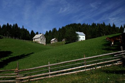 Bosača village