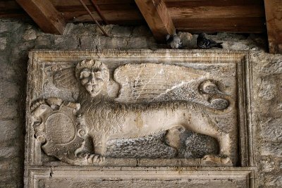 Lion in the market, Kotor