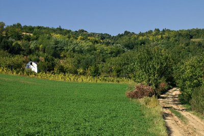 Farm in Fruška Gora