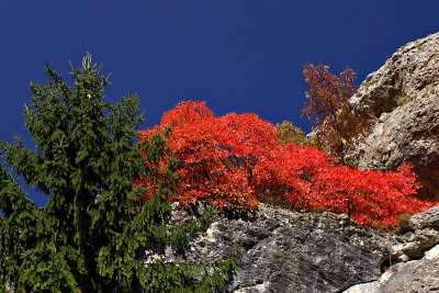 Near Sokobanja