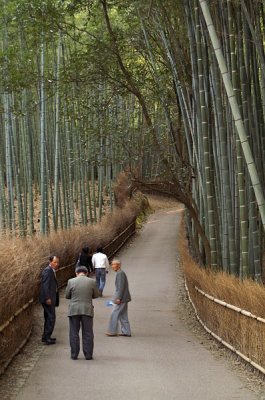 Bamboo forest, Arashiyama