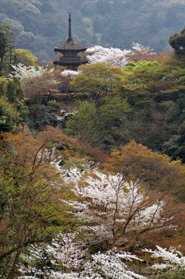 Kiyomizu-dera