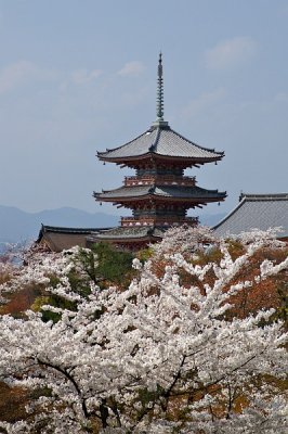 Kiyomizu-dera