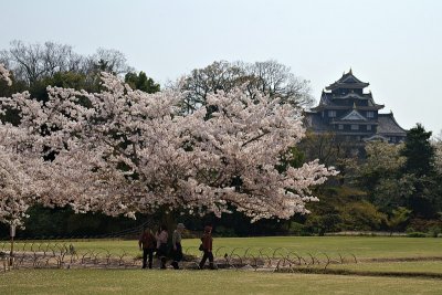 Korakuen and Okayama Castle