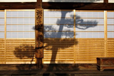 Pine shadow, Raikyu-ji, Takahashi