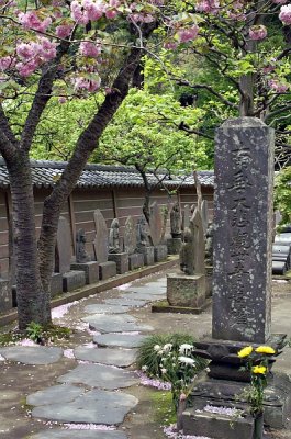 Graveyard in Engaku-ji, Kamakura