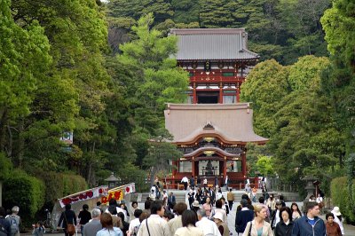 Tsurugaoka Hachiman-gu, Kamakura