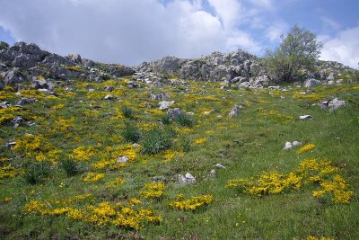 Galičica National Park