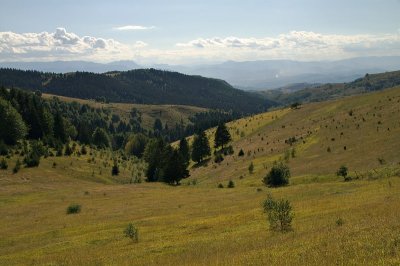 Meadows near Bukovik