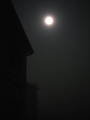 Fog Moon