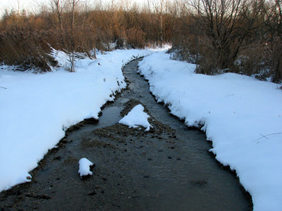 Ice Stream