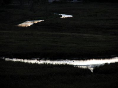 Meandering Reflections
