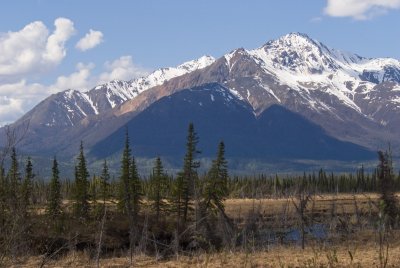 DSC_5162br.jpg