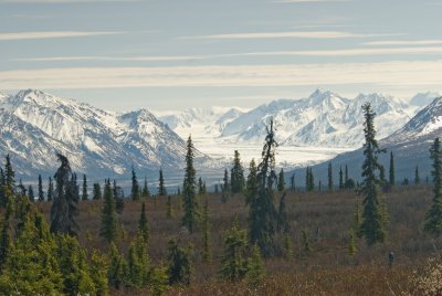 DSC_5183br.jpg