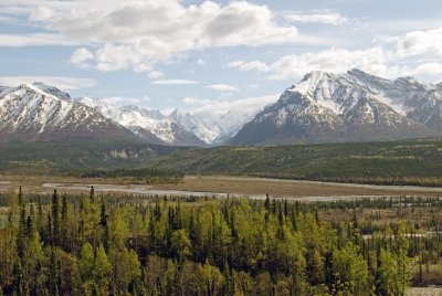 DSC_5198br.jpg