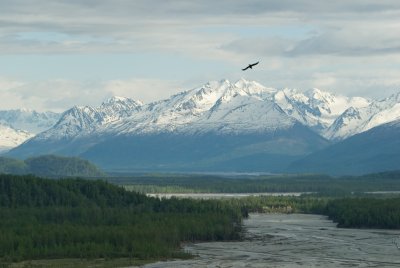 DSC_5204br.jpg