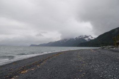 DSC_5233br.jpg