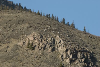 DSC_5432br.jpg