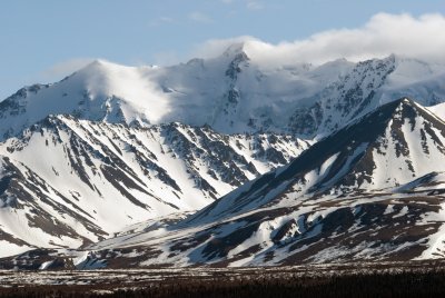 DSC_5457br.jpg
