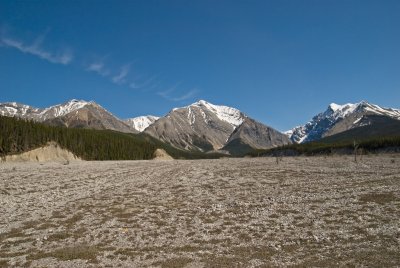 DSC_5618br.jpg
