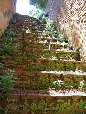 OstiaSteps_0597.jpg