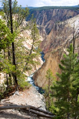 Grand Canyon of the Yellowstone_5785.jpg