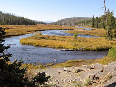 Pelican Creek Near Fishing Bridge_0618.jpg