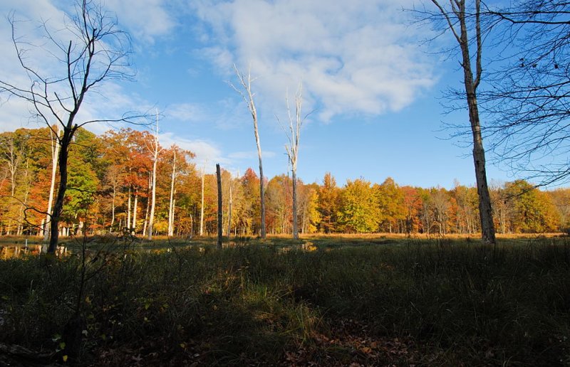 D20_5620 copy.jpg