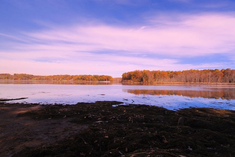 D20_5840 copy.jpg