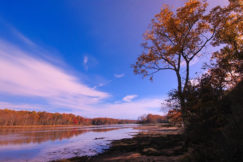 D20_5843 copy.jpg