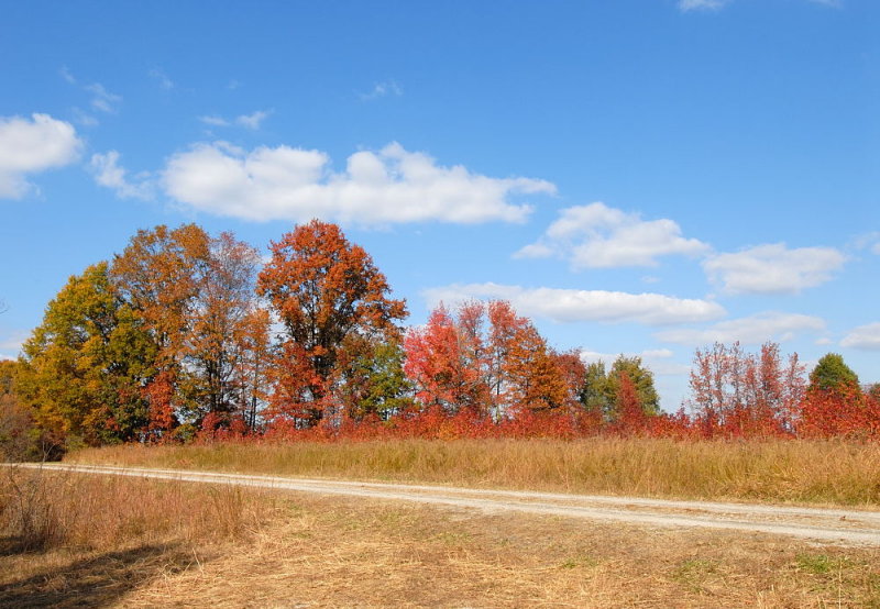 D20_6063 copy.jpg