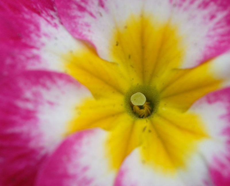 D21_0893.jpg