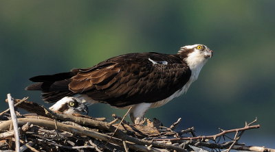 D35_0843.jpg