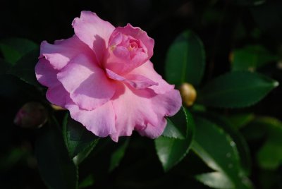 D20_6381 copy.jpg