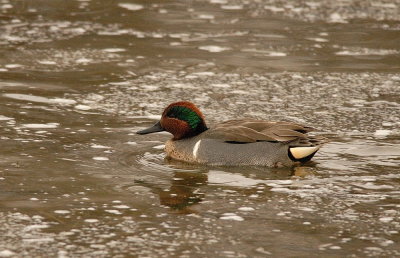 D20_9371.jpg